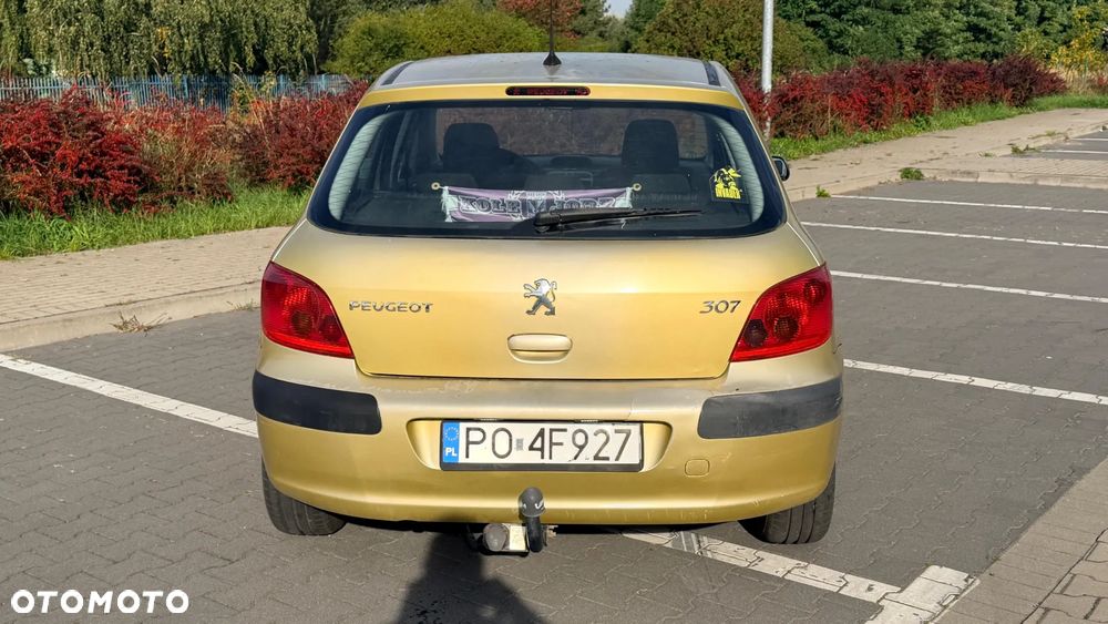 Peugeot 307 - 7