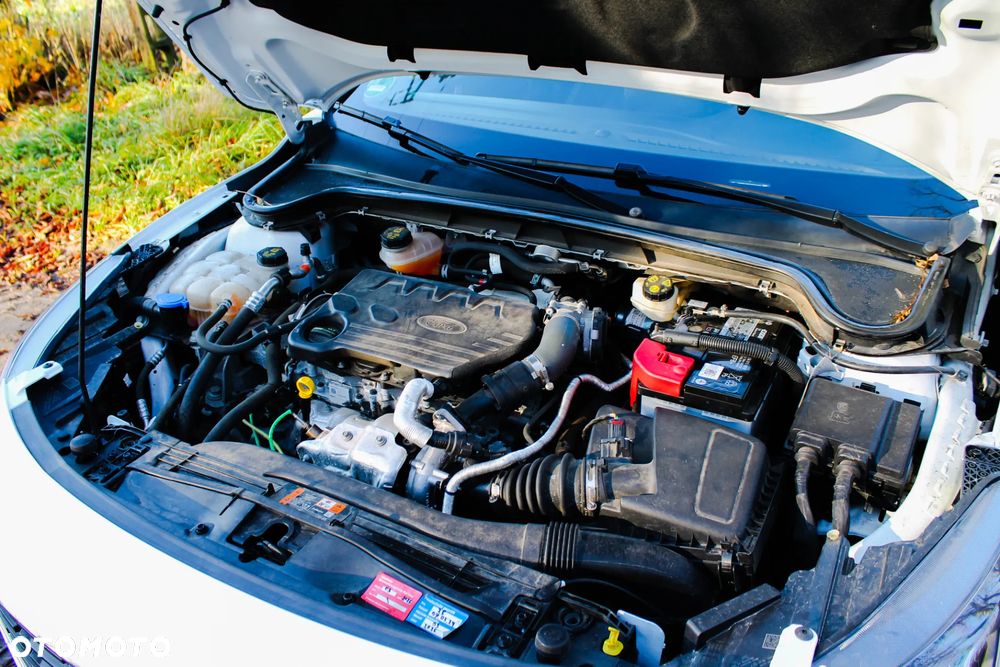 Ford Focus 1.5 EcoBlue Start-Stopp-System COOL&CONNECT - 26