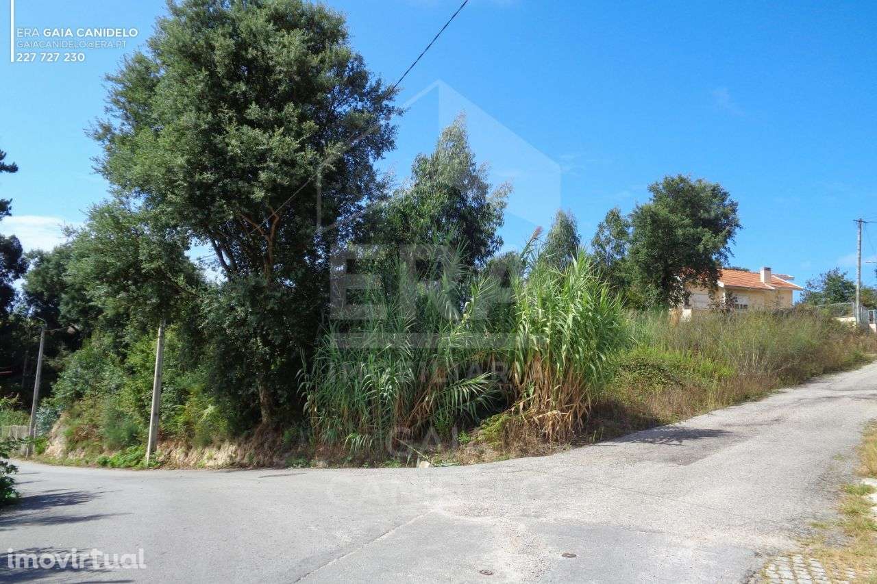 Terrenos para Construção de Moradia, Madalena - Grande imagem: 2/4