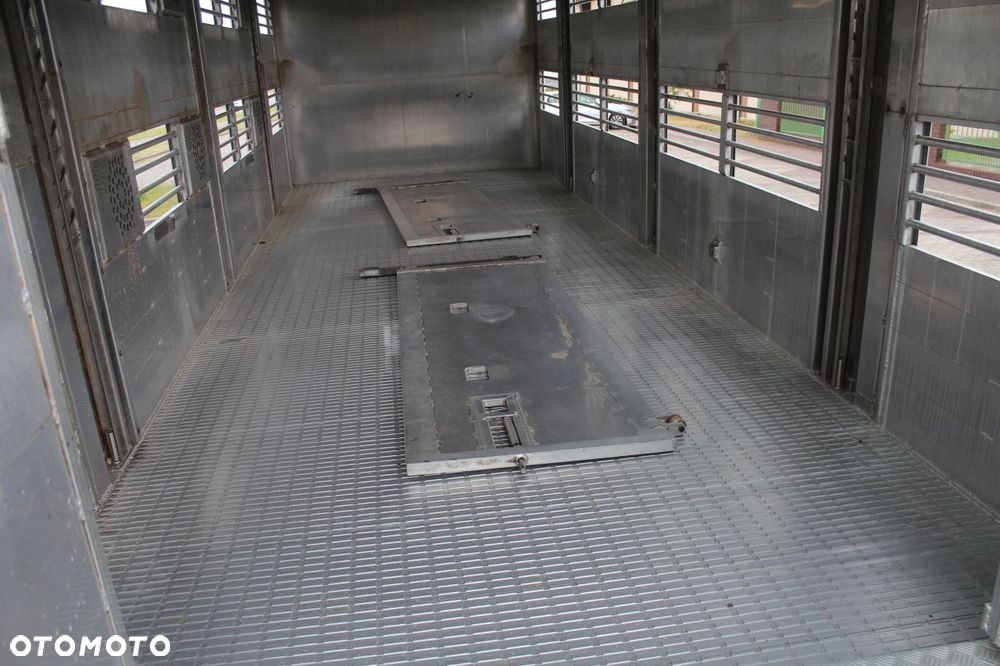 MAN TGS 26.440 DO ŻYWCA ZWIERZĄT BYDŁA Z NIEMIEC - 19