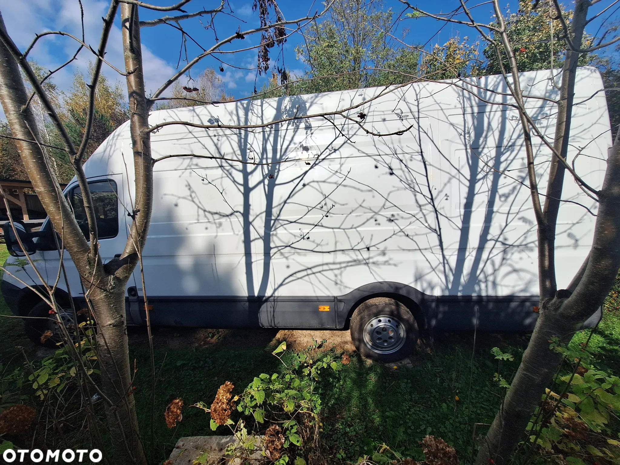 Iveco Daily L4H3 - 19