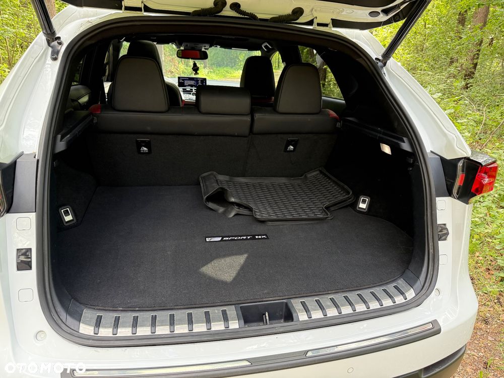 Lexus NX 300 AWD F SPORT - 13