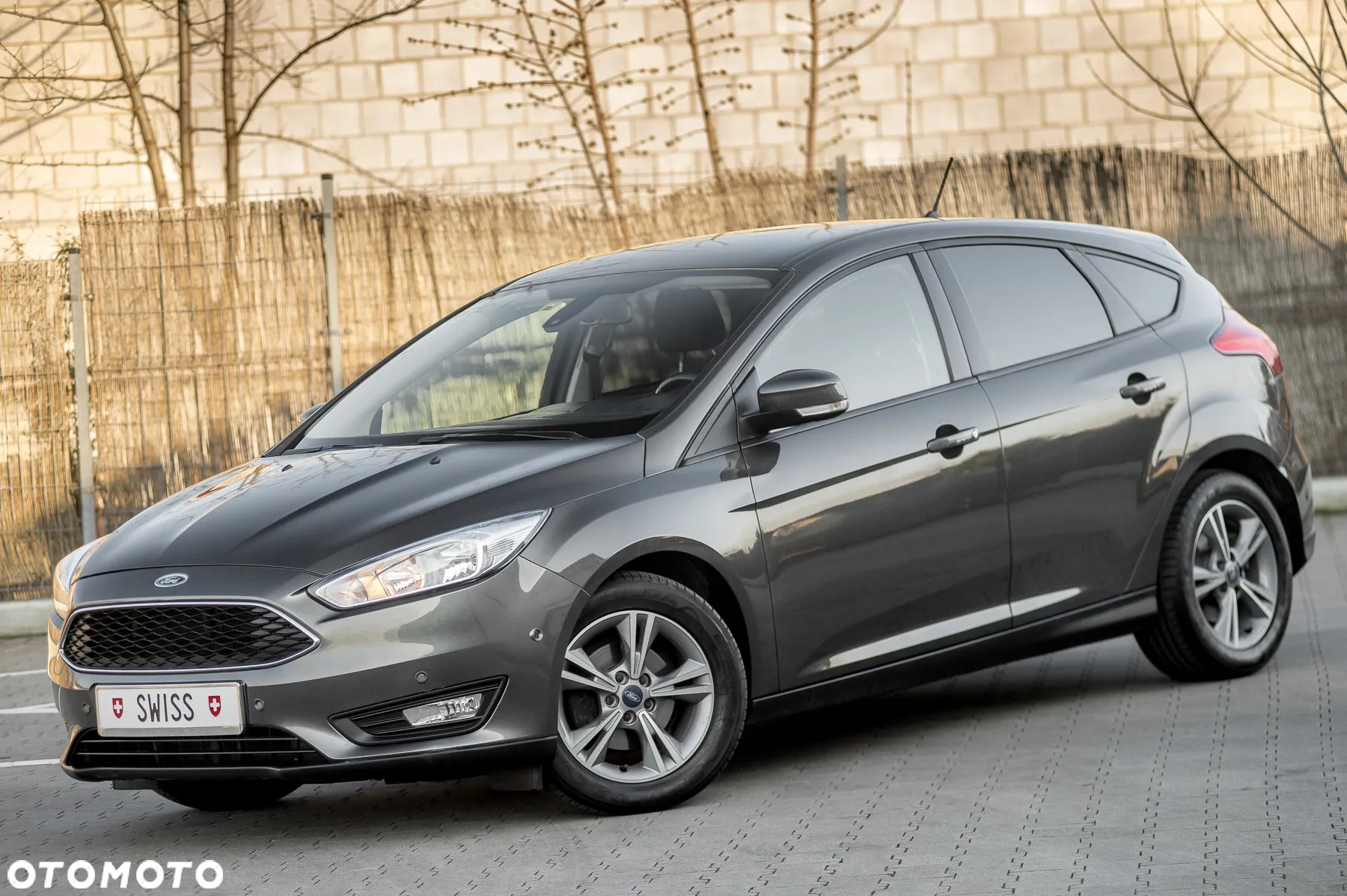 Ford Focus - 7