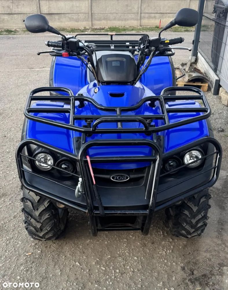 Kawasaki Brute Force - 30