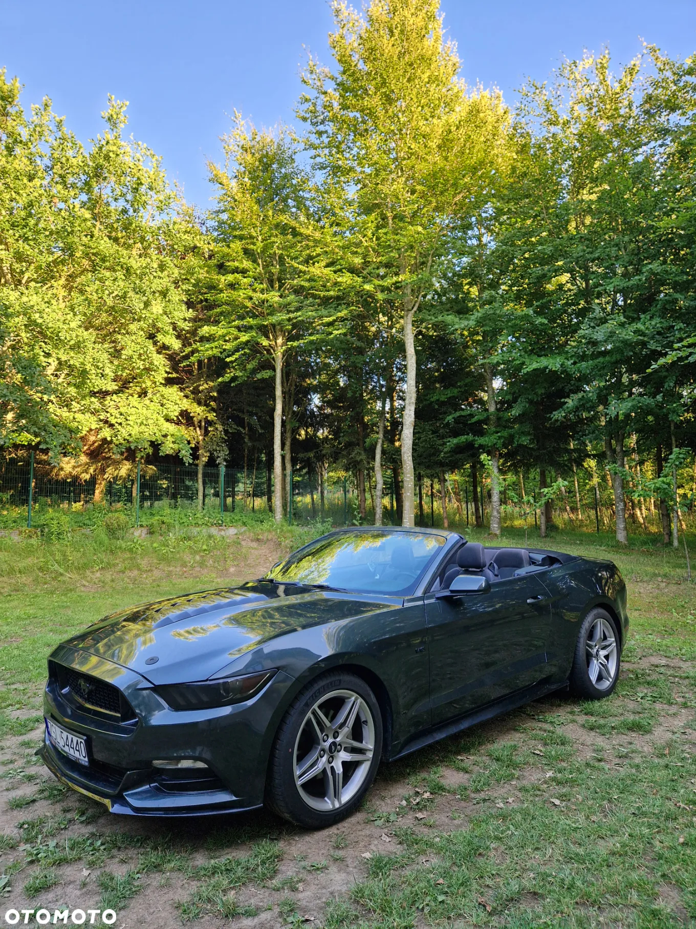 Ford Mustang 3.7 V6 - 3
