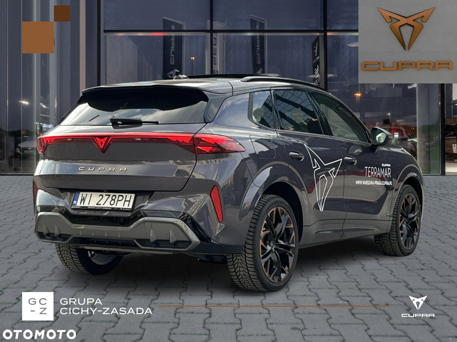 Cupra Terramar - 6