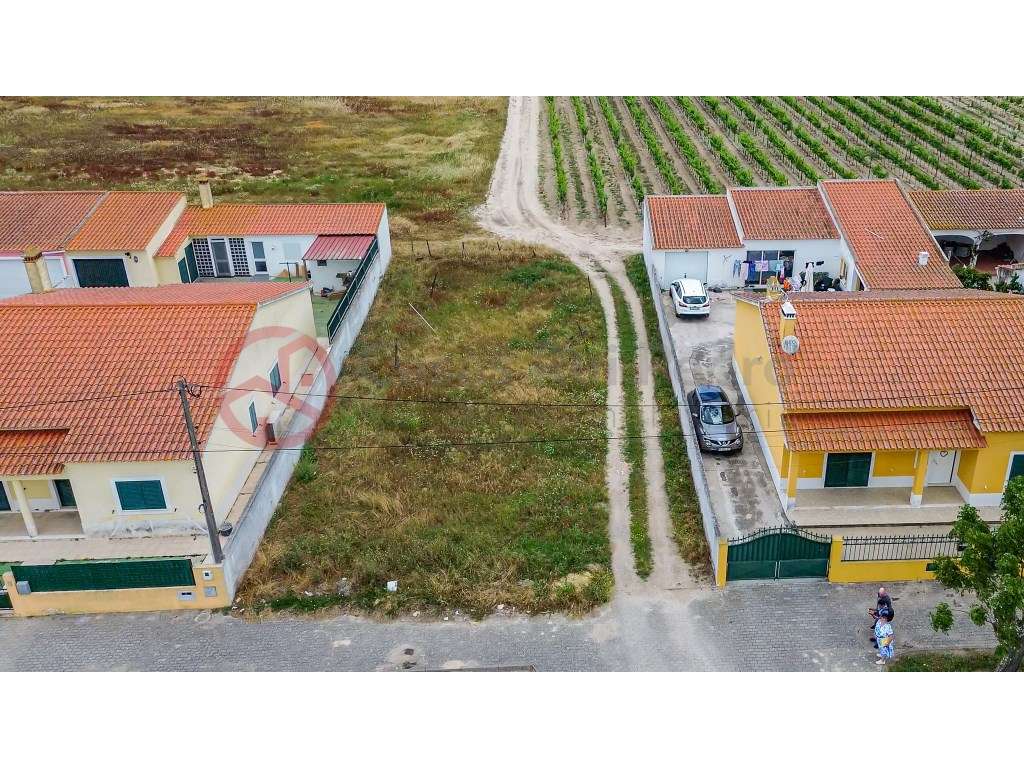 Moradia T3 Isolada Térrea com Telheiro e Garagem em Muge, Salvaterr... - Grande imagem: 3/28