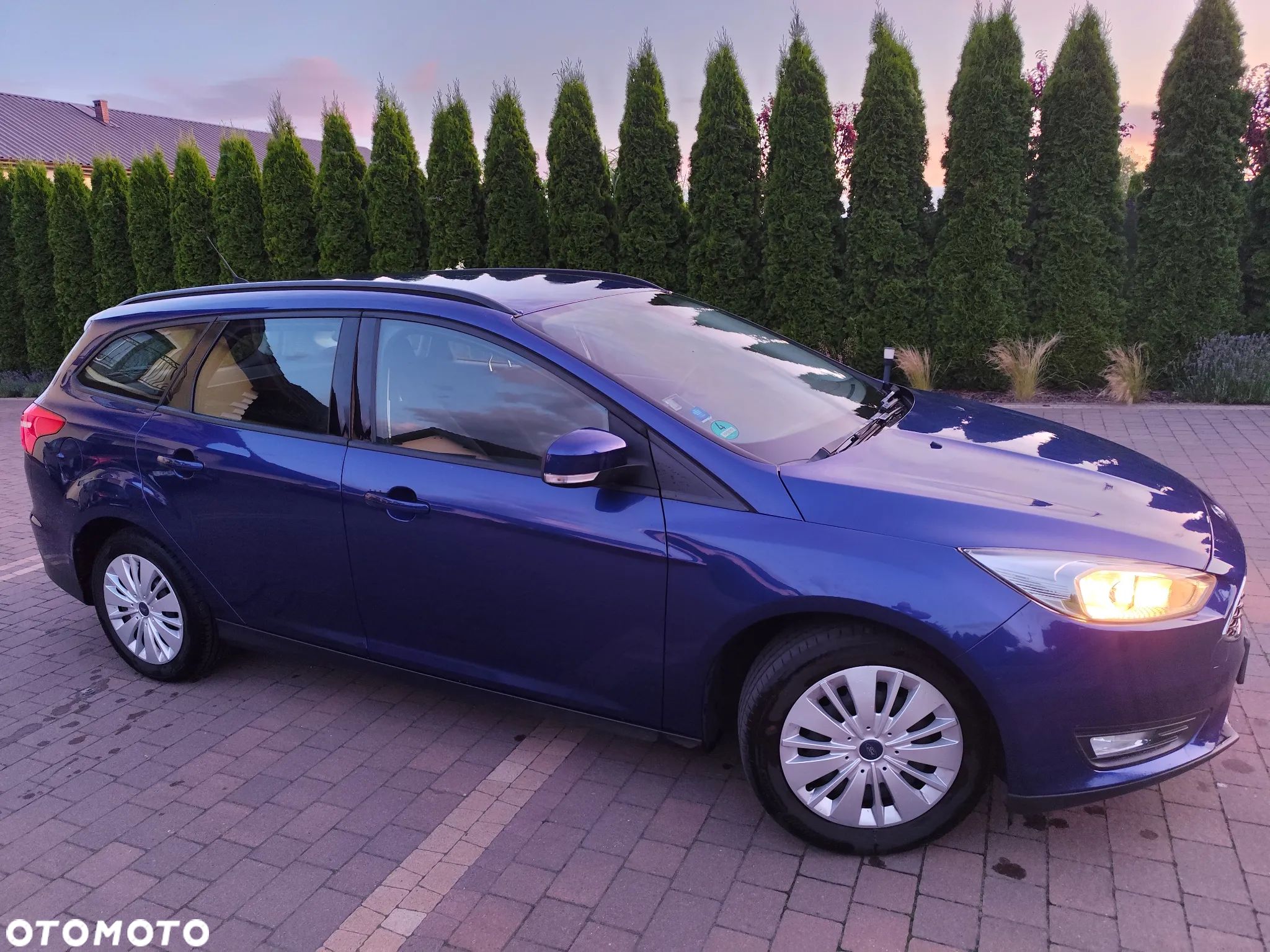 Ford Focus 1.6 Gold X (Trend) - 1