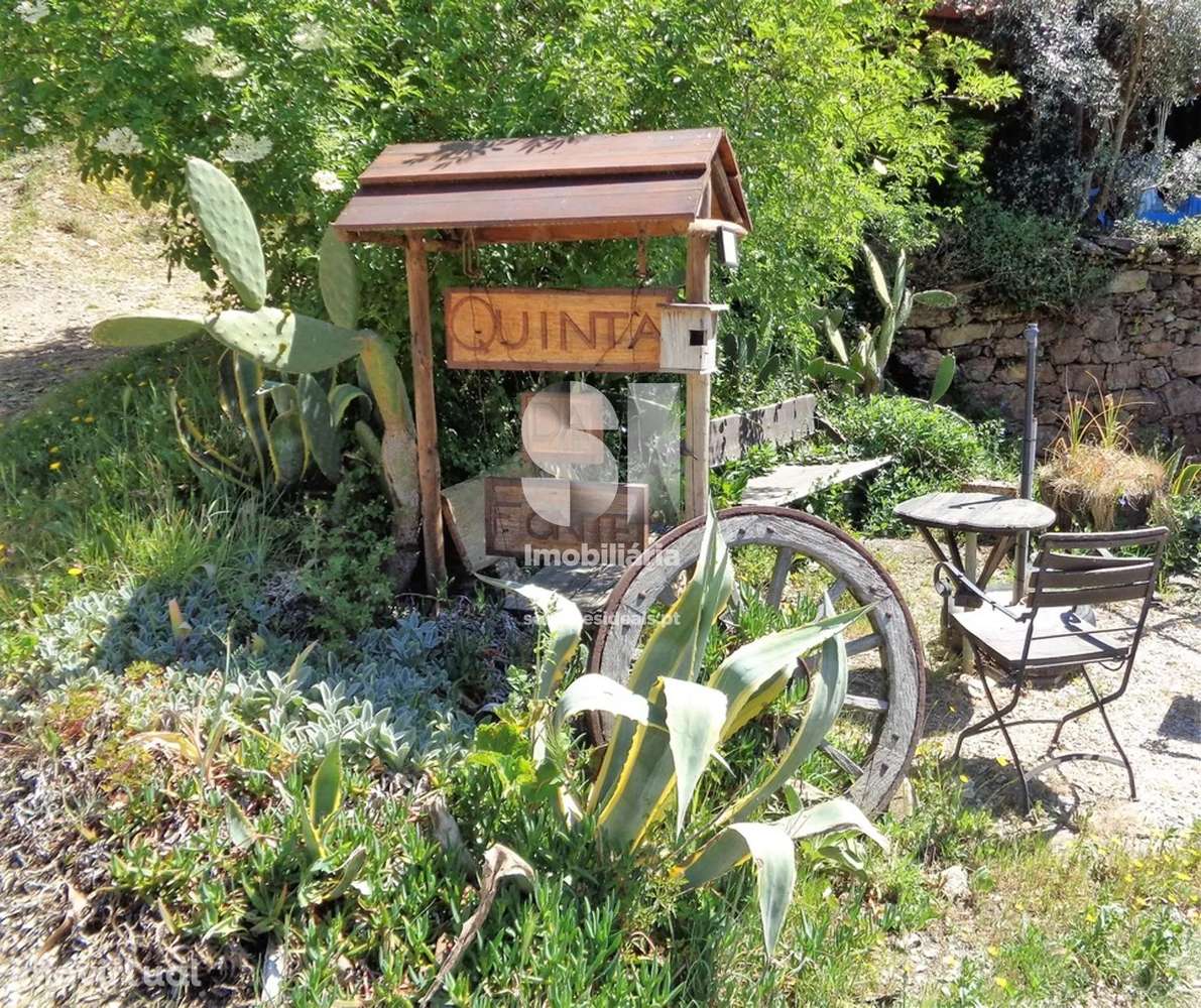 Quinta >=T10 - Grande imagem: 3/16