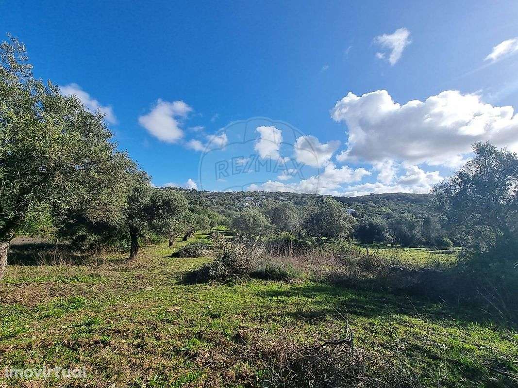 Terreno  para venda - Grande imagem: 3/5