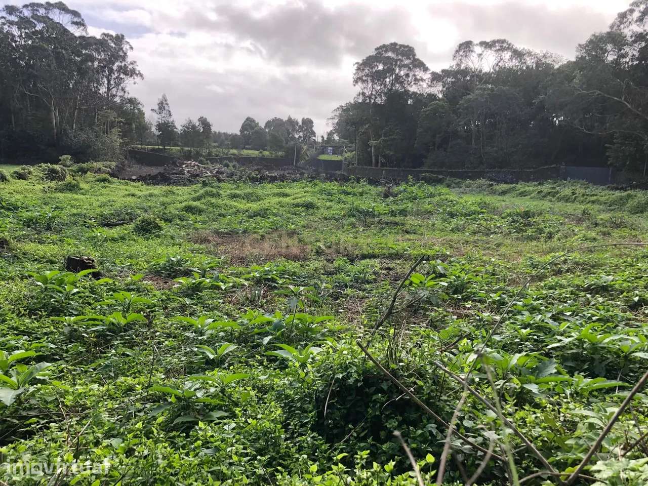 Terreno à Venda no (Farropo),  Fenais da Luz - Grande imagem: 2/5
