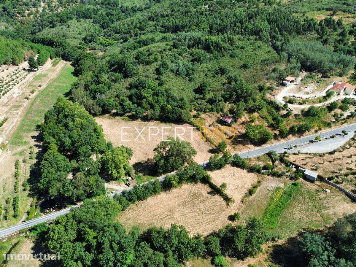 Quinta Mista de 4,8 Hectares com Edificação Urbana, Moinho... - Grande imagem: 3/34