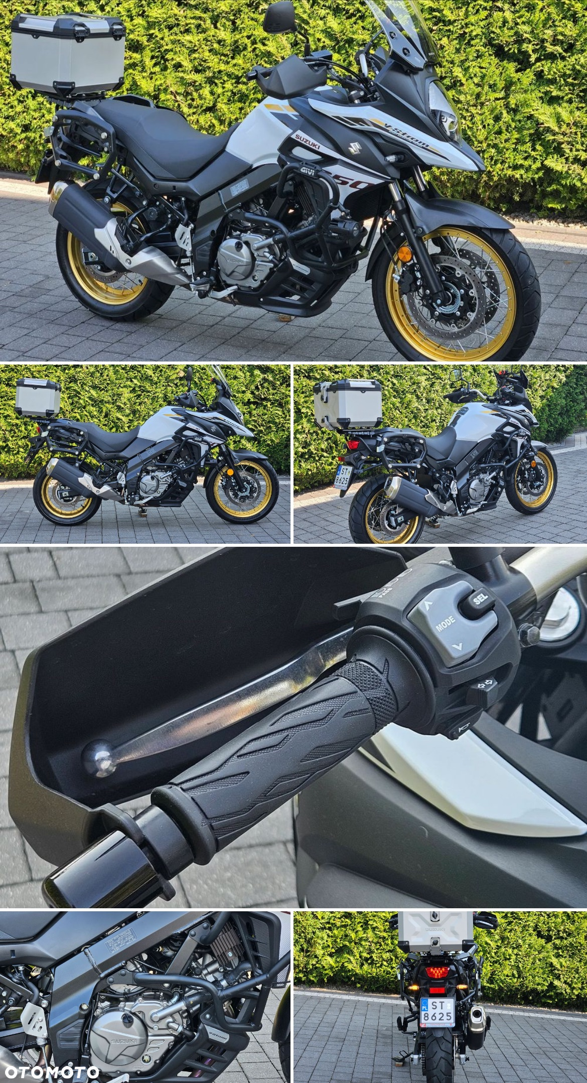 Suzuki DL - 9