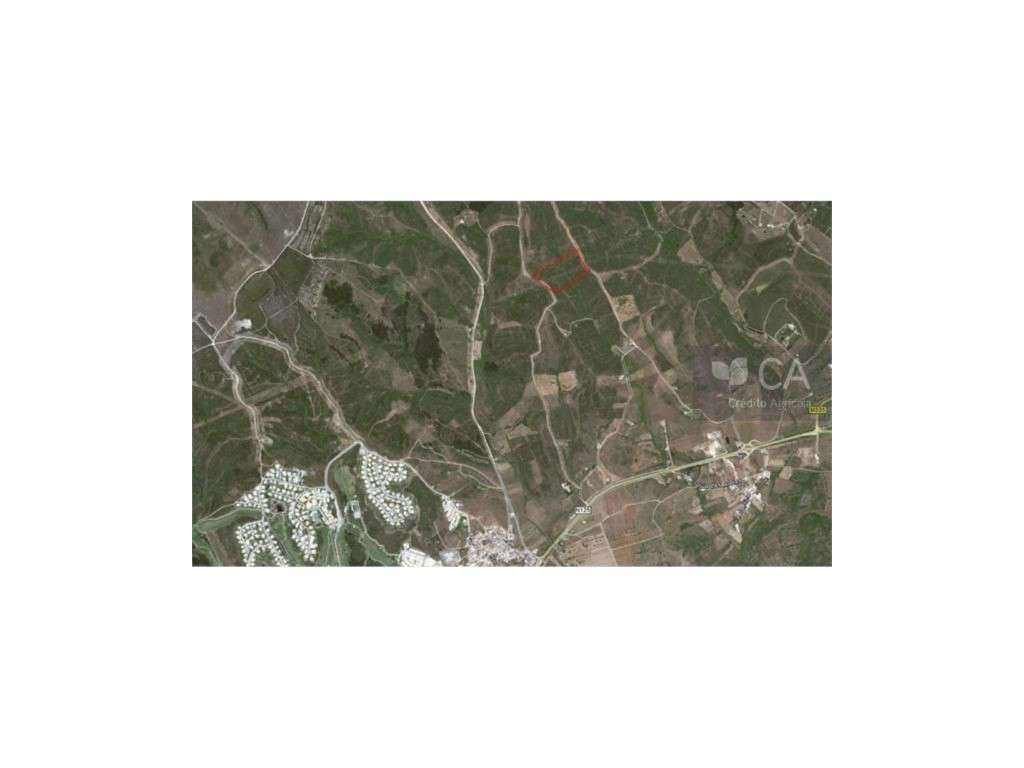 Terreno Agricola/Florestal a 2,5 Km de Budens. - Grande imagem: 2/2