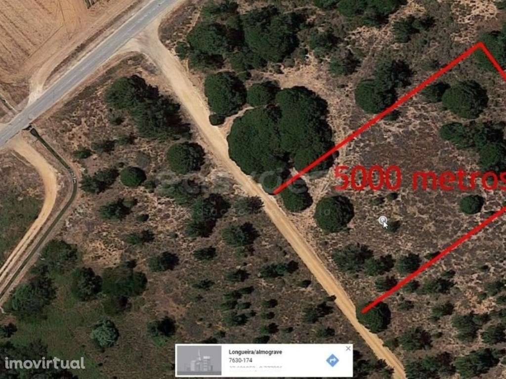 Terreno Rústico em Almograve com 5000m2 5Min da praia do cão - Grande imagem: 4/5
