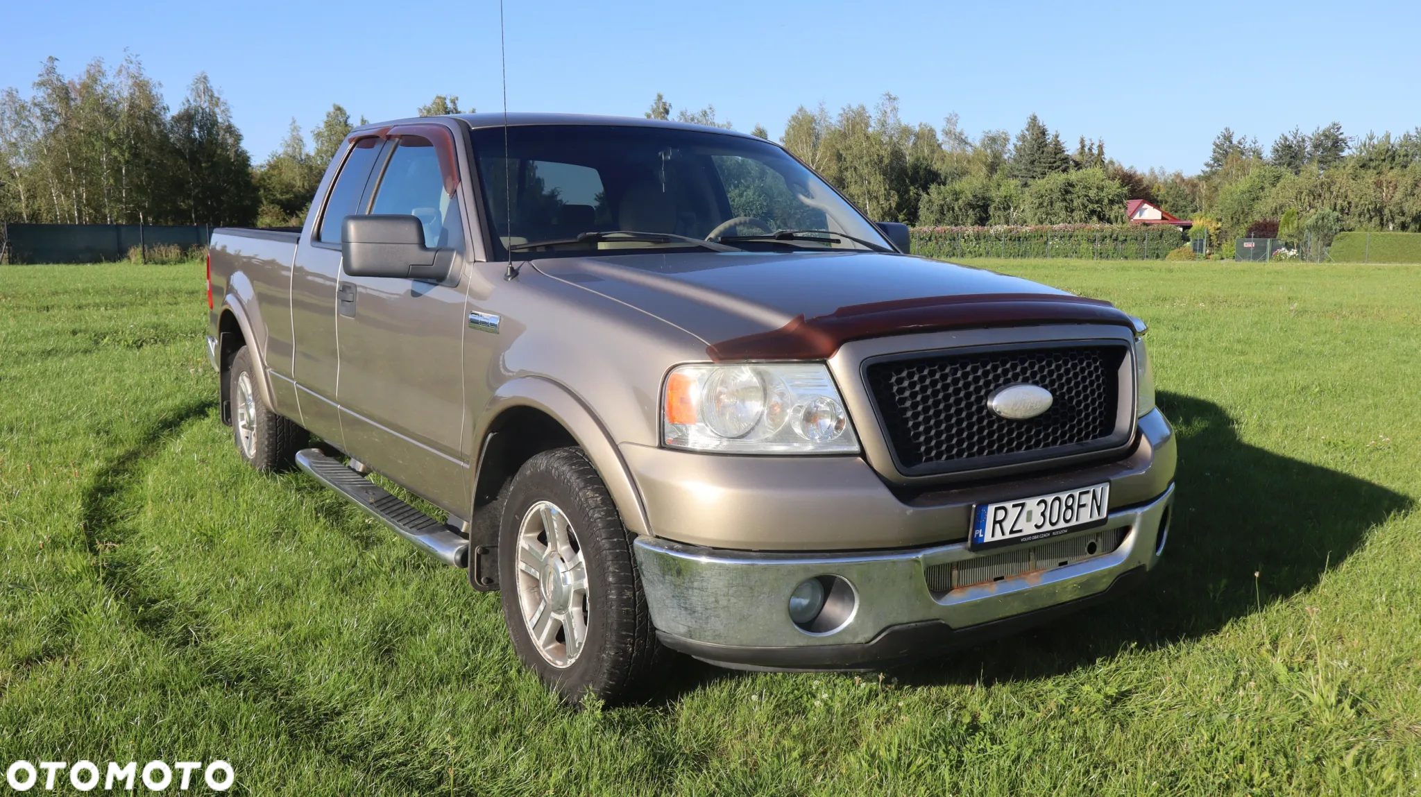 Ford F150 - 10