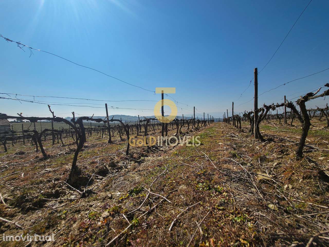 Quinta  Venda em Alijó,Alijó - Grande imagem: 4/16