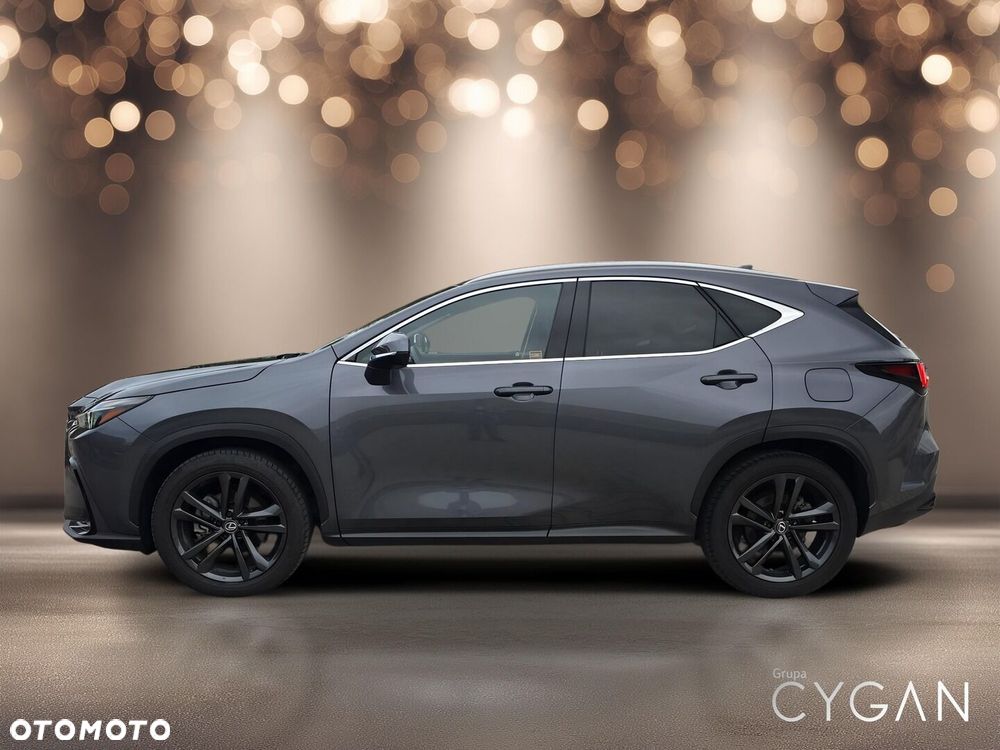 Lexus NX - 4