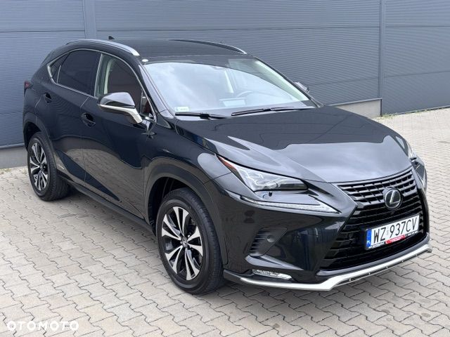 Lexus NX 300h F Impression AWD - 13