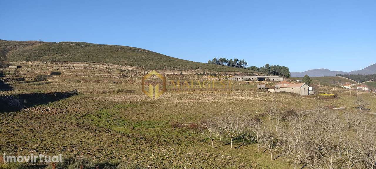 Quinta T5 em Baião para diversas atividades - Grande imagem: 5/22