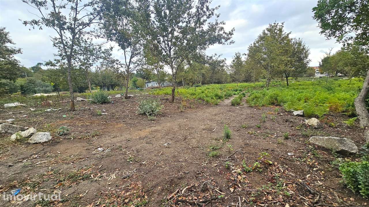 Terreno Rústico  Venda em Rio de Loba,Viseu - Grande imagem: 2/5