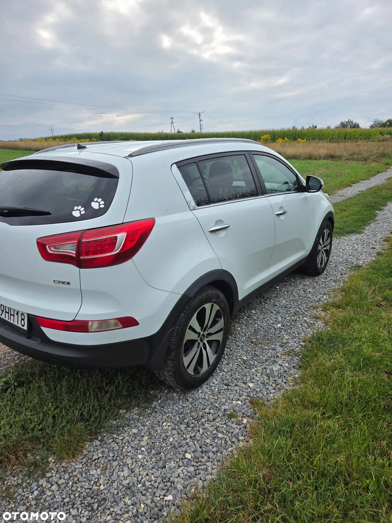 Kia Sportage 2.0 CRDI XL 2WD - 5
