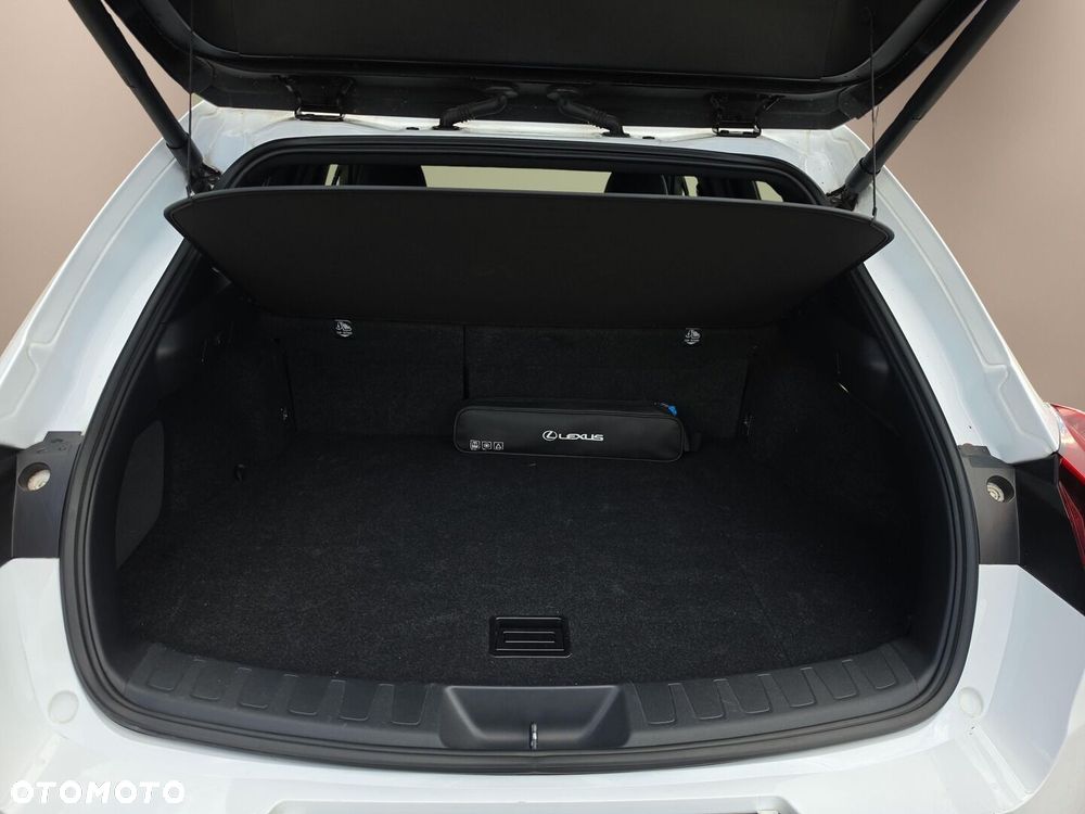 Lexus UX 250h GPF F Sport Design+ 2WD - 32