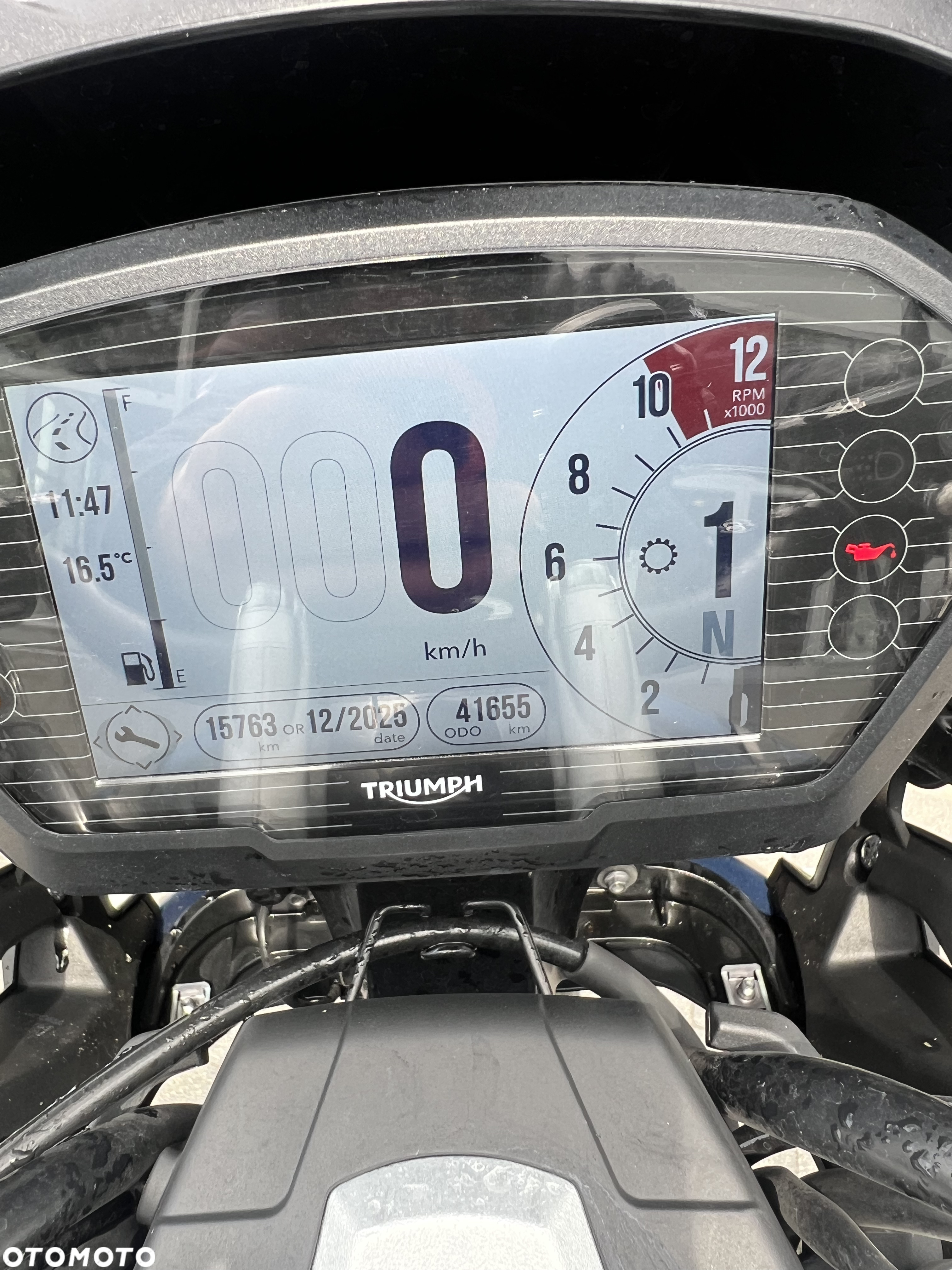 Triumph Tiger - 8