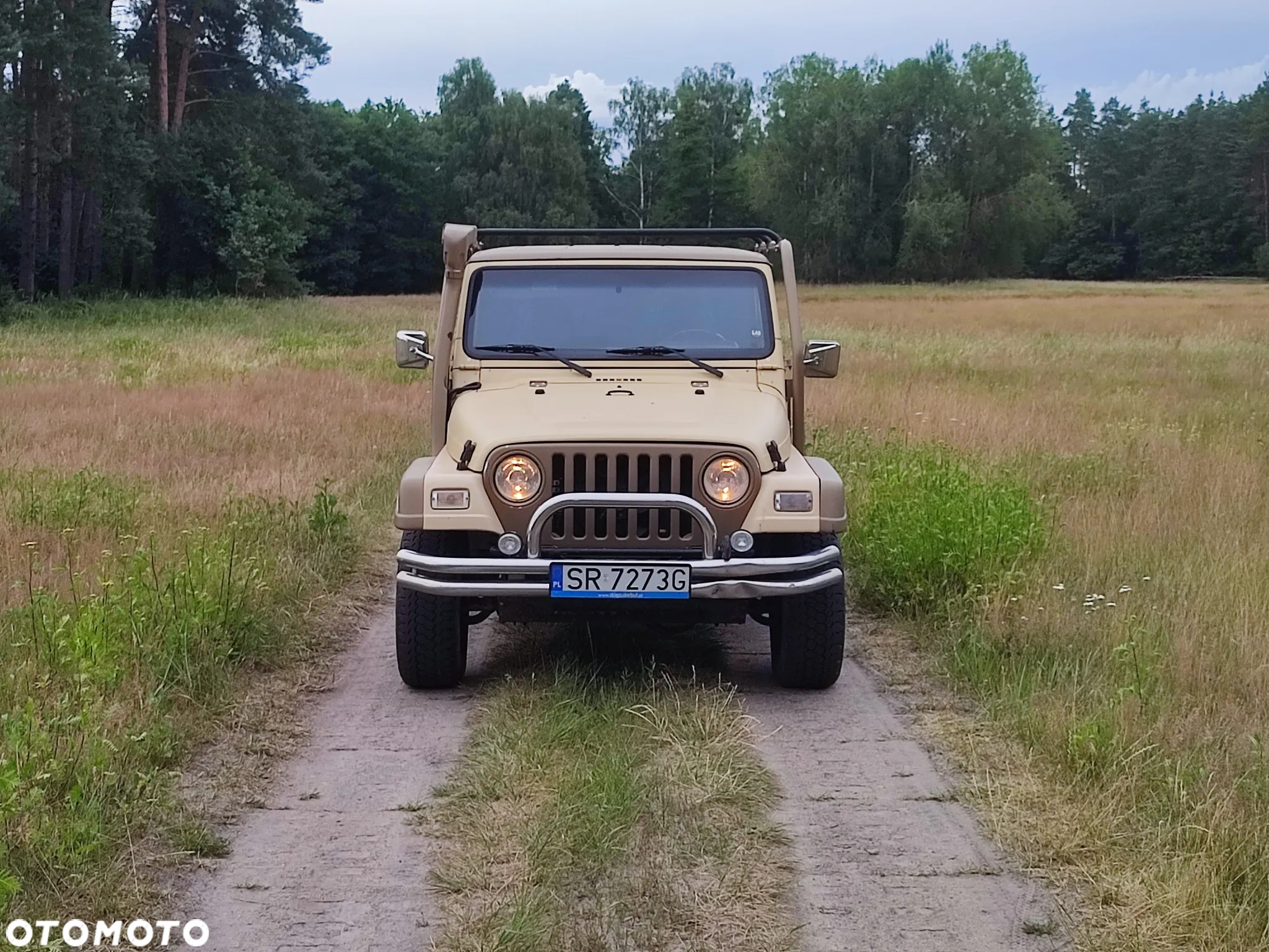 Jeep Wrangler 4.0 Sport - 2