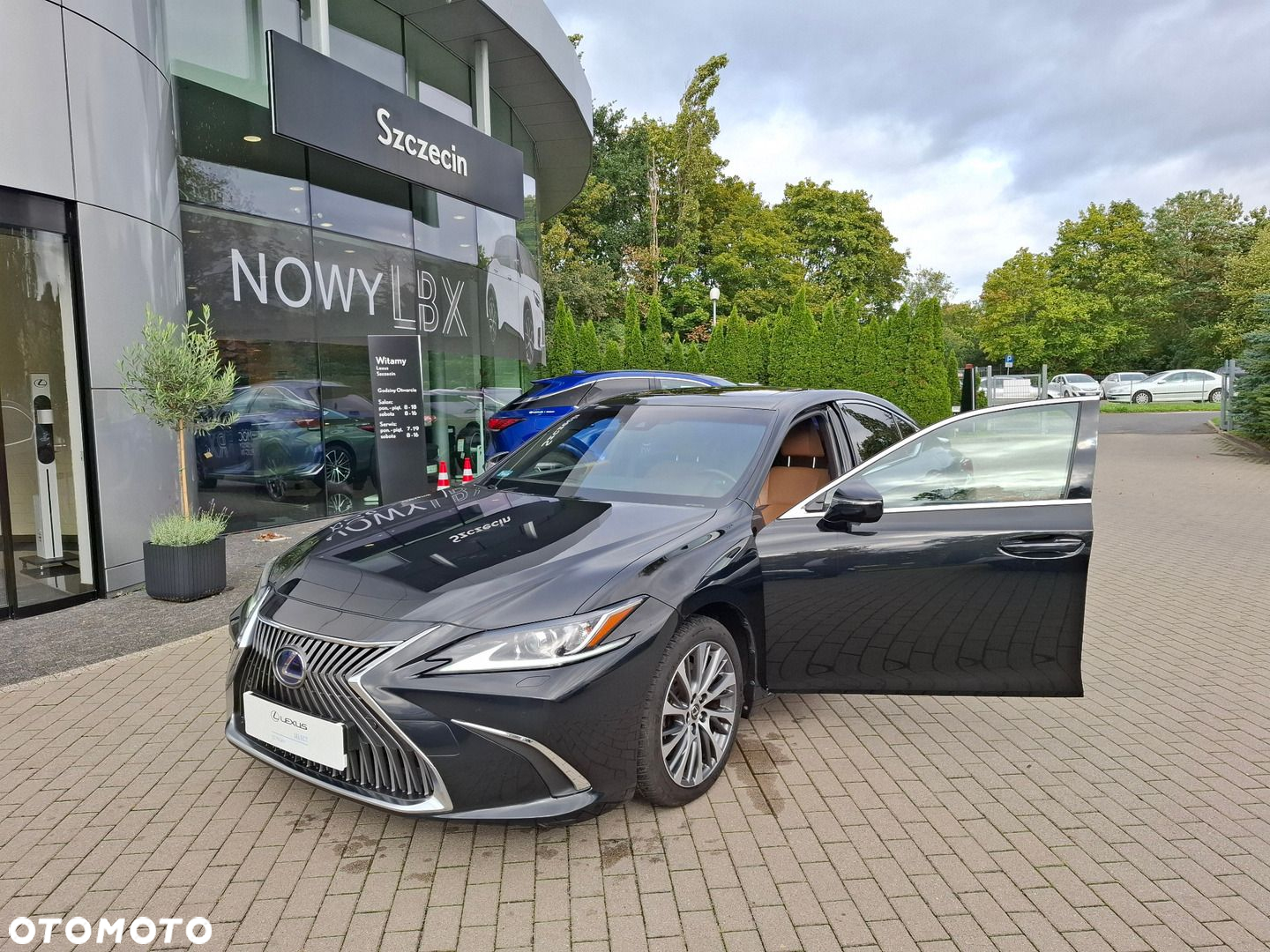 Lexus ES 300h Elegance - 9