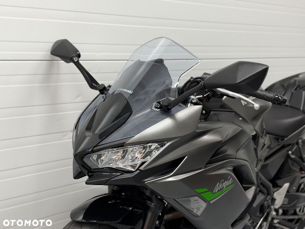 Kawasaki Ninja - 22