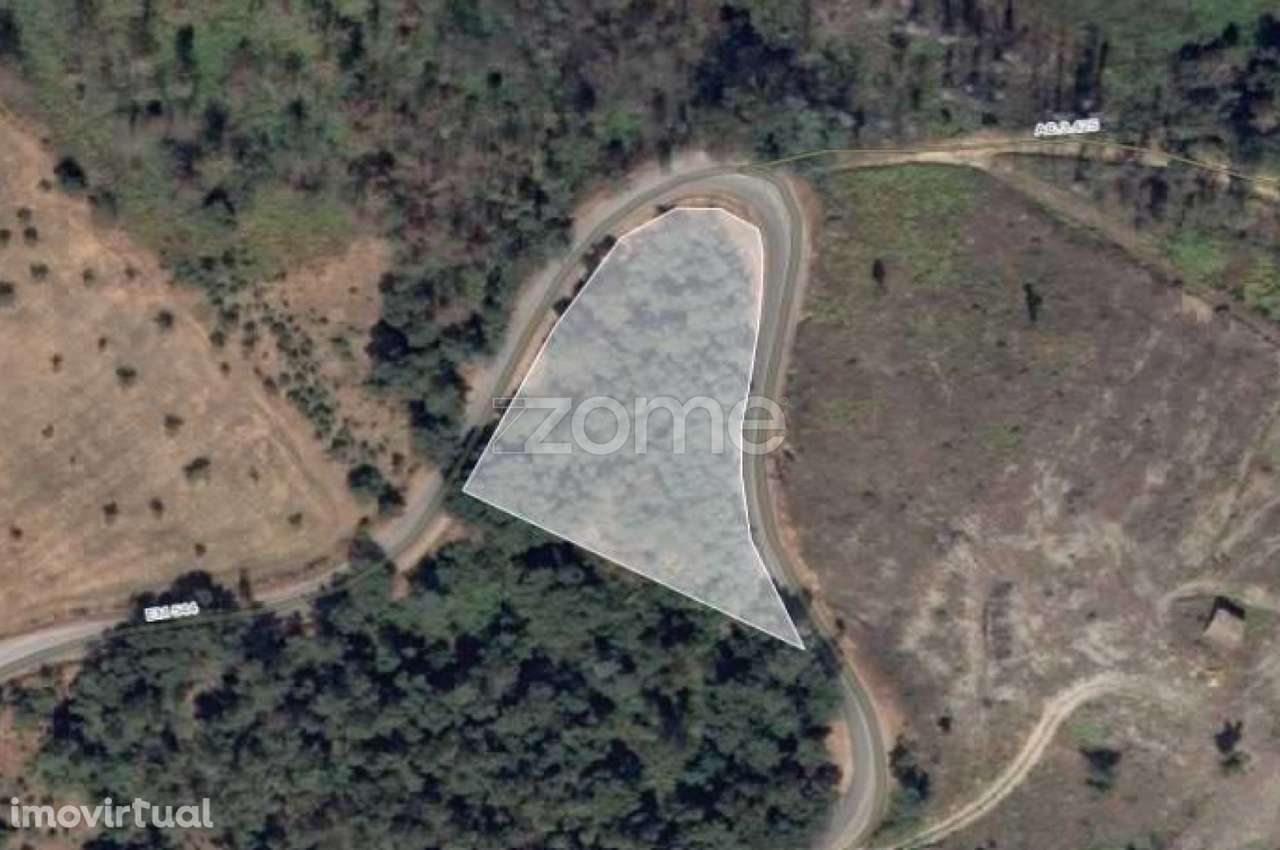 Terreno em Folques, Arganil - Grande imagem: 5/15