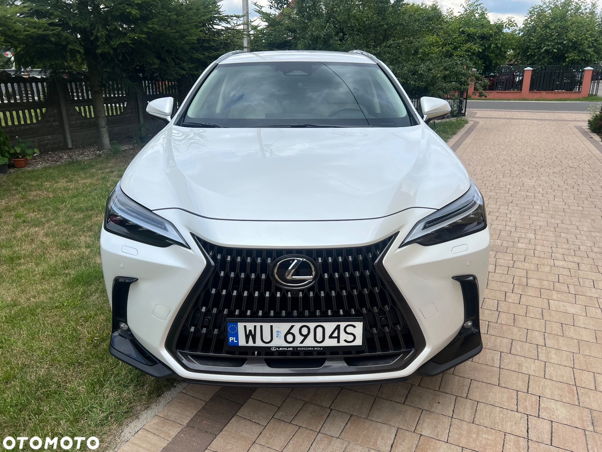 Lexus NX 350h Prestige AWD - 3