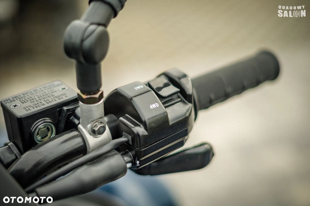 Kawasaki Brute Force - 26