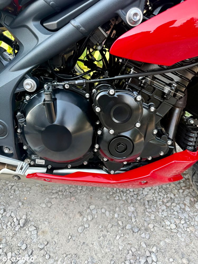 Triumph Speed Triple - 15