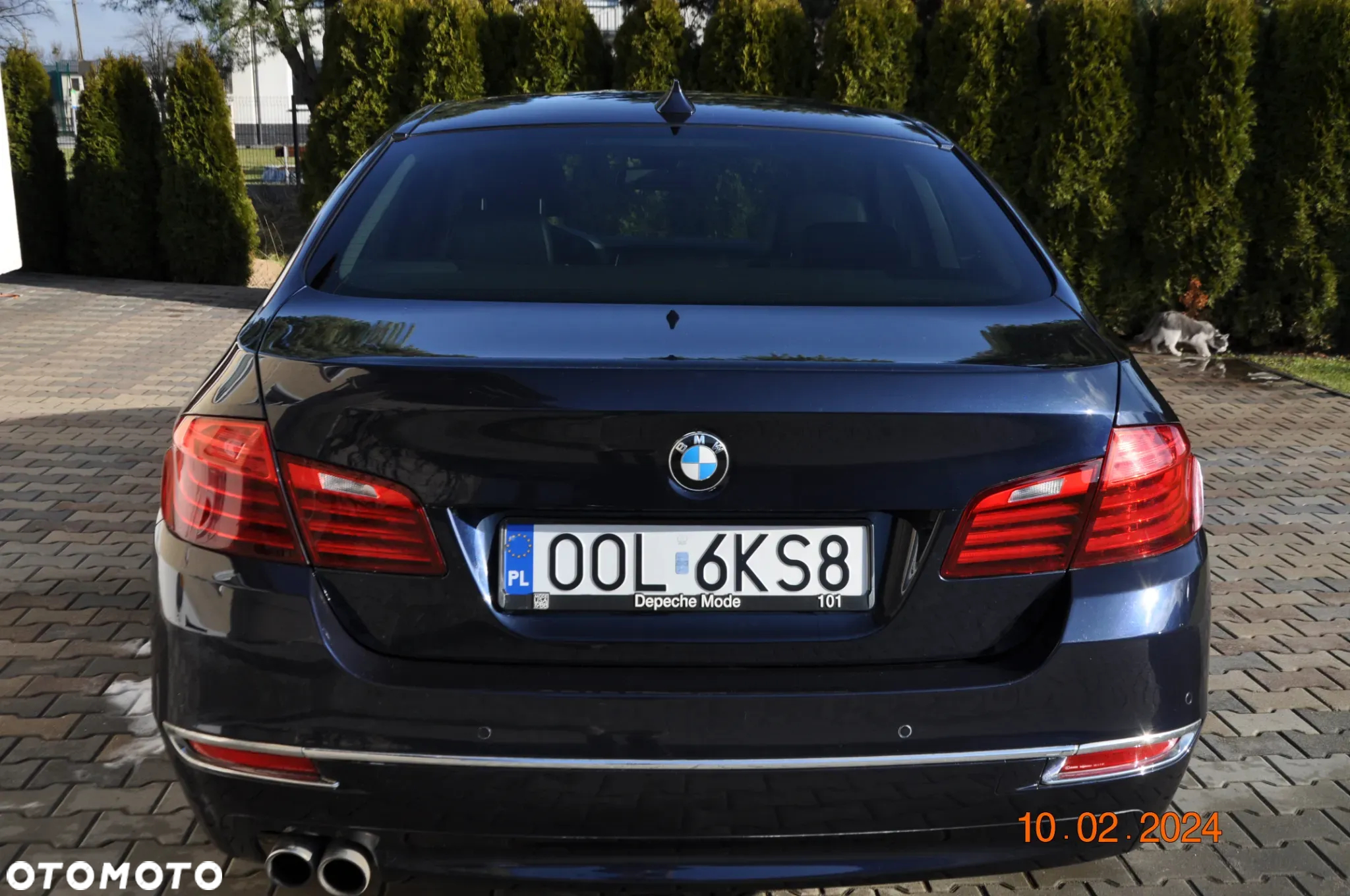 BMW Seria 5 - 13