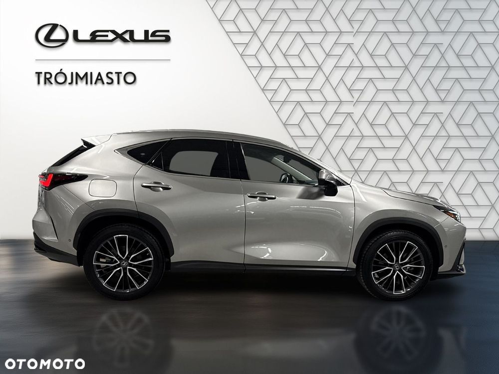 Lexus NX - 6