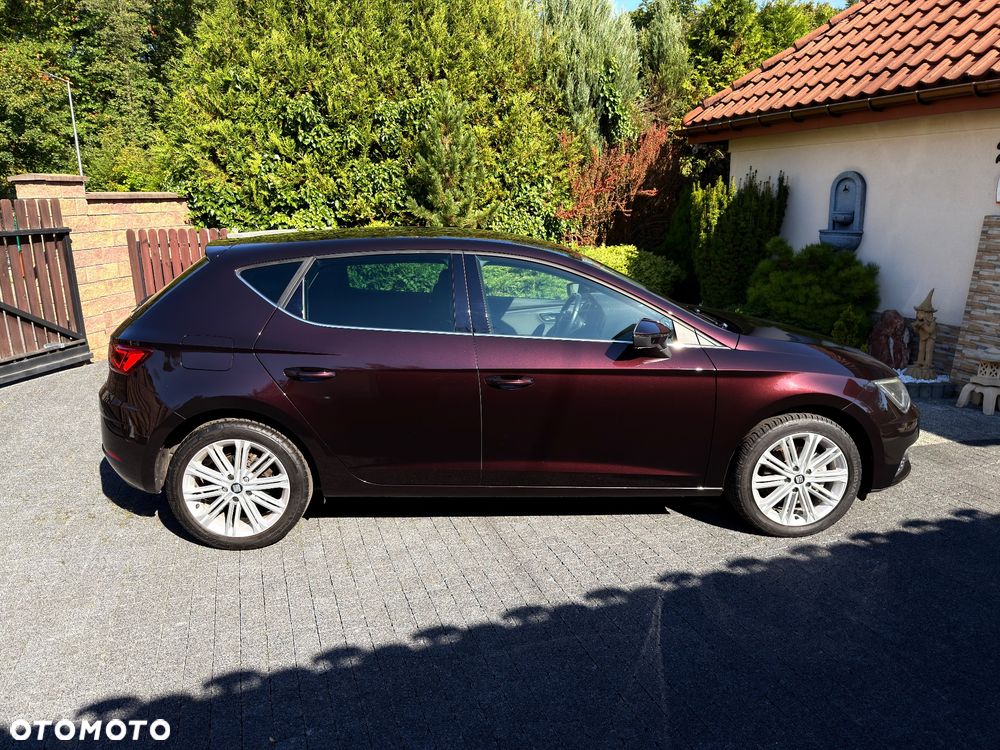Seat Leon 1.4 TSI Xcellence S&S - 10