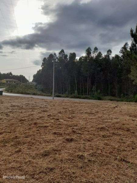 Vendo Terreno para construcao com projeto aprovado - Grande imagem: 4/4