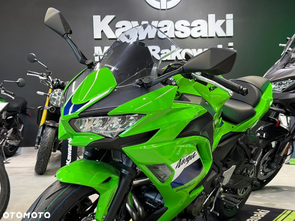 Kawasaki Ninja - 10