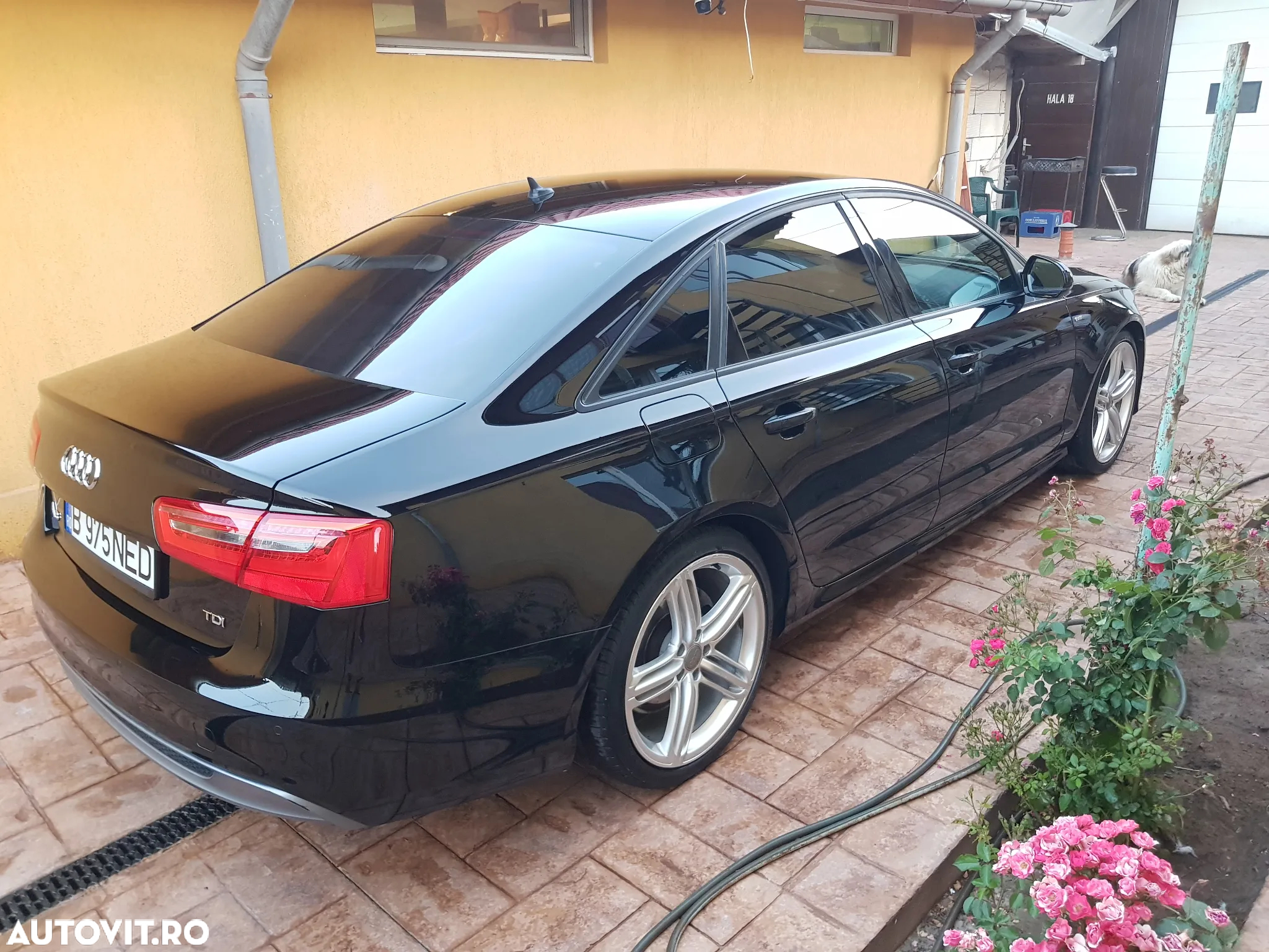 Audi A6 2.0 TDI DPF Multitronic sport selection - 22