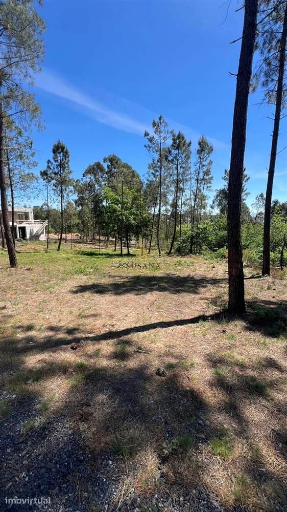 Terreno Para Construção  Venda em Mundão,Viseu - Grande imagem: 2/4