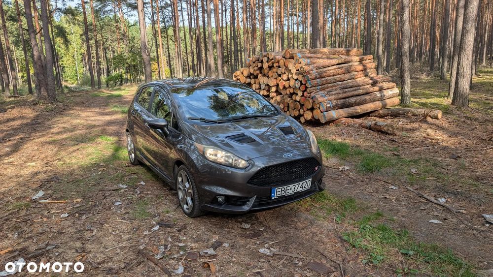Ford Fiesta 1.6 EcoBoost ST200 - 16