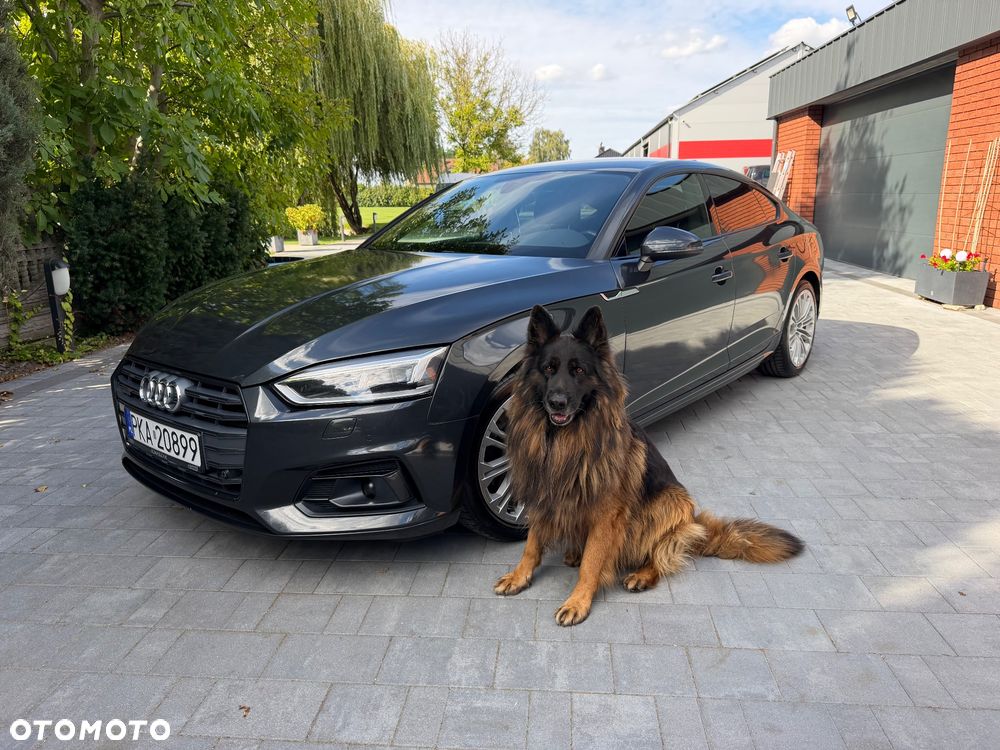 Audi A5 Sportback 2.0 TDI Quattro S tronic - 10