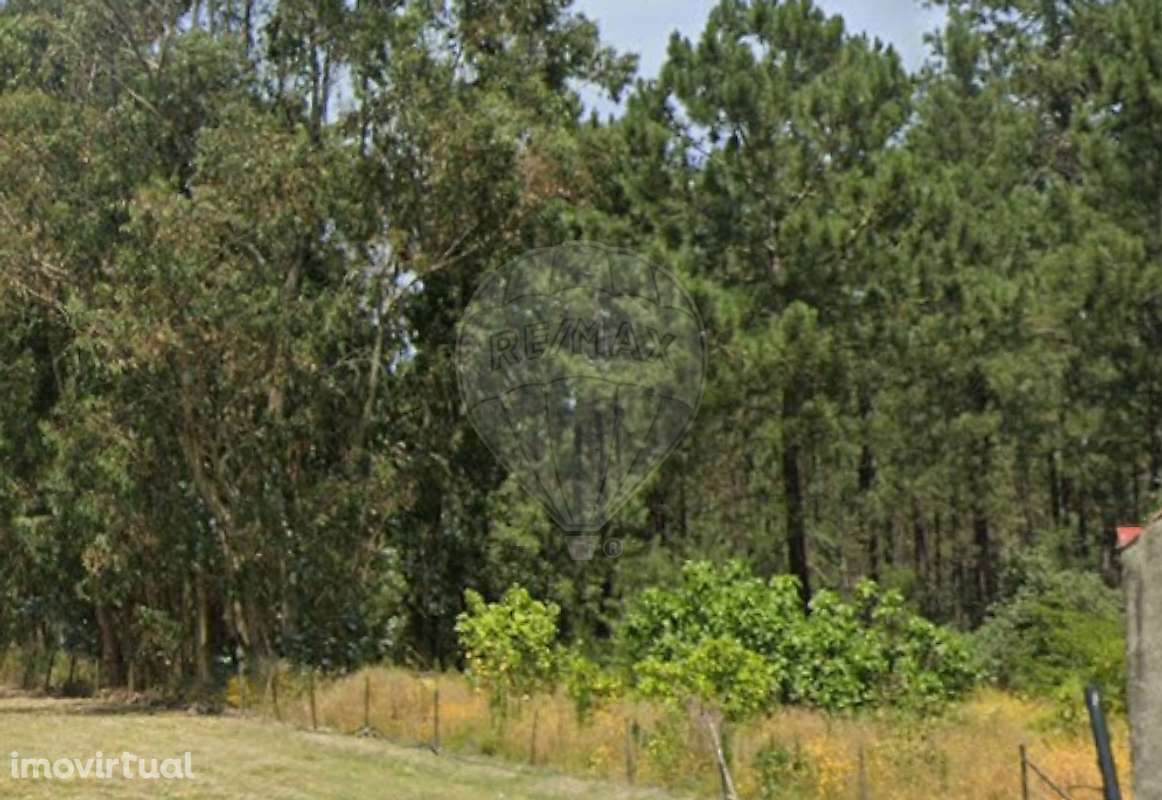 Terreno  para venda - Grande imagem: 2/19