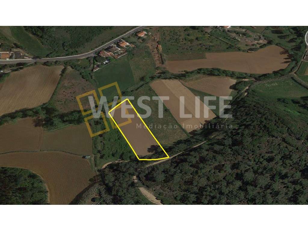 Terreno Rústico/ Agrícola de 3500m2 - Ericeira - Grande imagem: 3/17