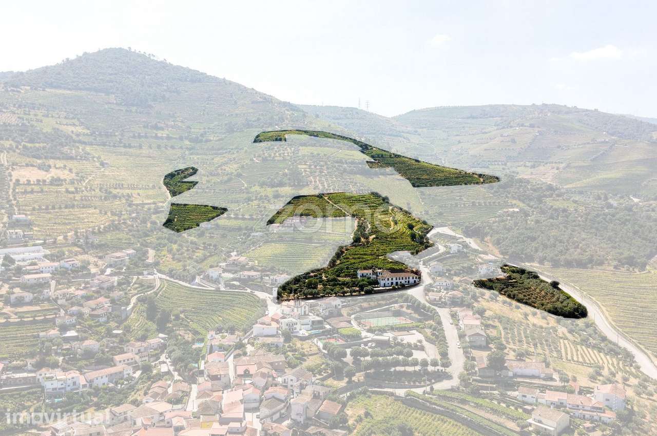 “Quinta Casa do Cruzeiro” com vinha - Douro - Folgosa - Grande imagem: 5/31