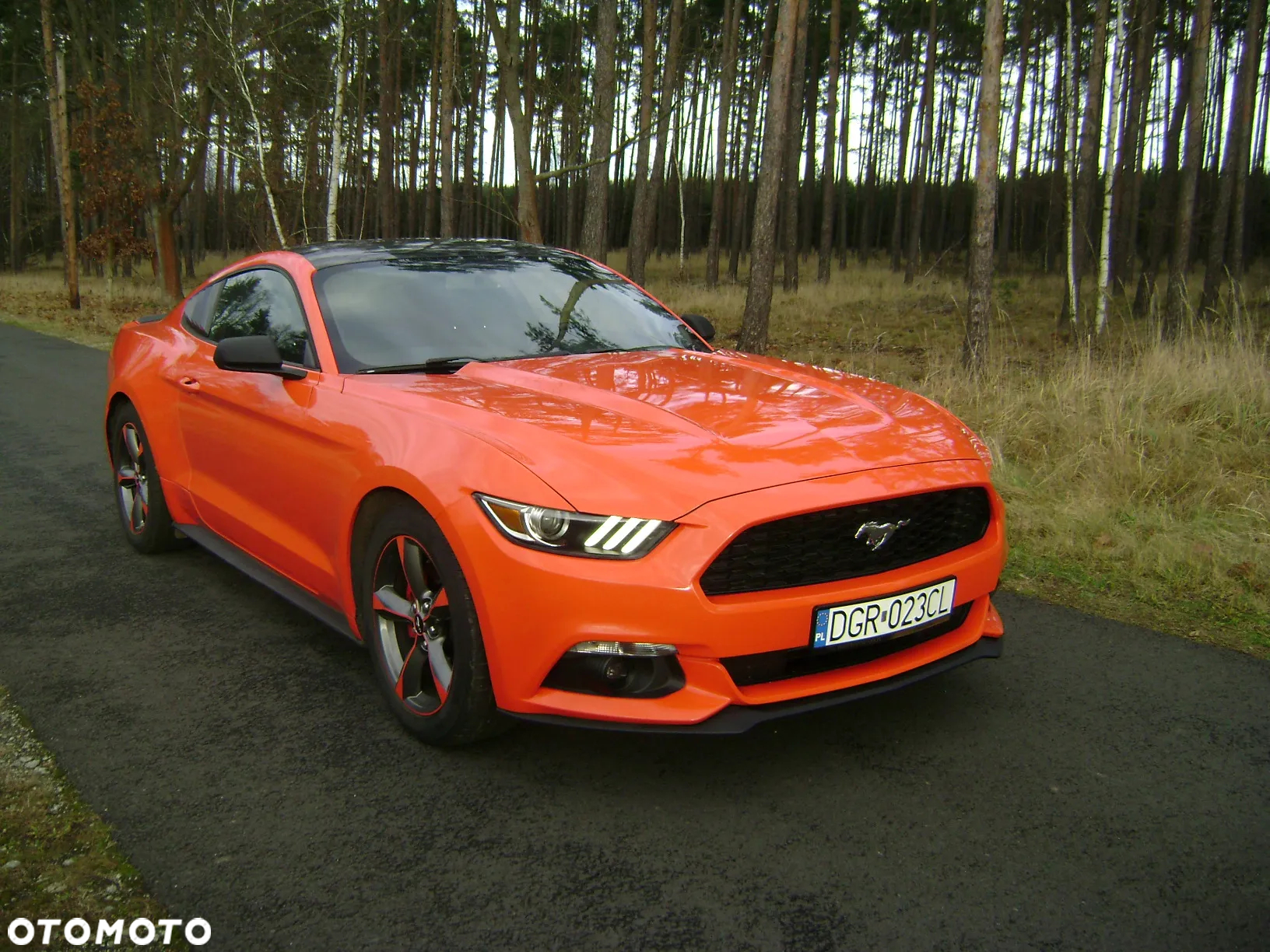 Ford Mustang 3.7 V6 - 2