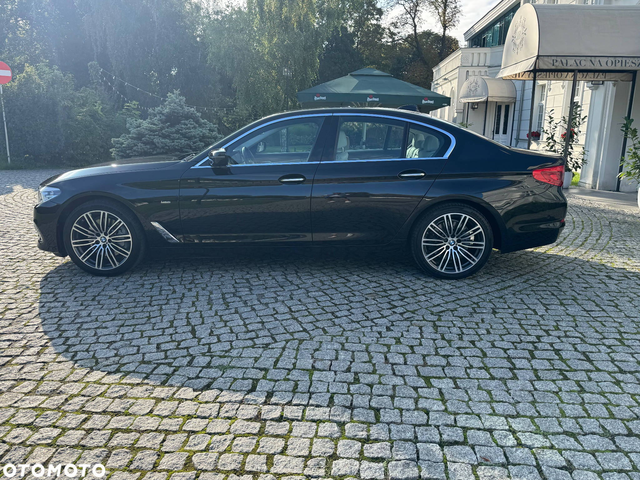 BMW Seria 5 530d Luxury Line sport - 5