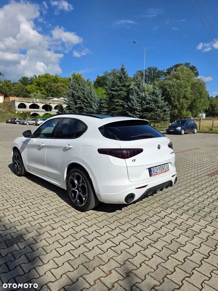 Alfa Romeo Stelvio 2.0 Turbo Veloce Q4 - 6